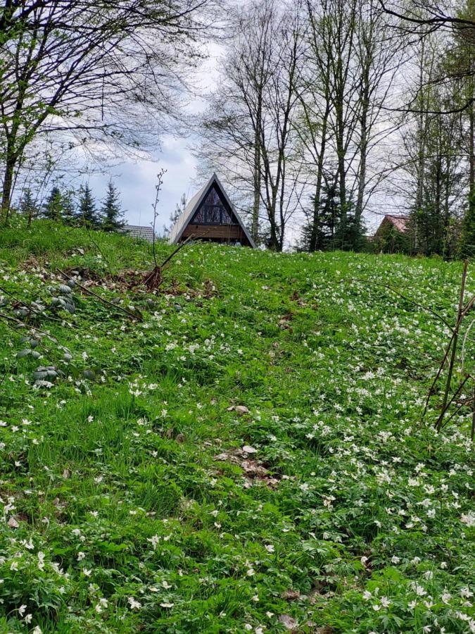 U Hanki Żywiec エクステリア 写真